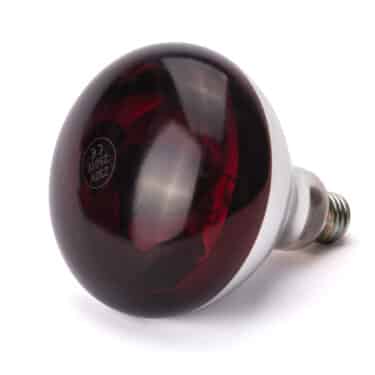 E27 Infrarot Glühbirne Wärmelampe Rotlicht Infrared 250W Rot NEU