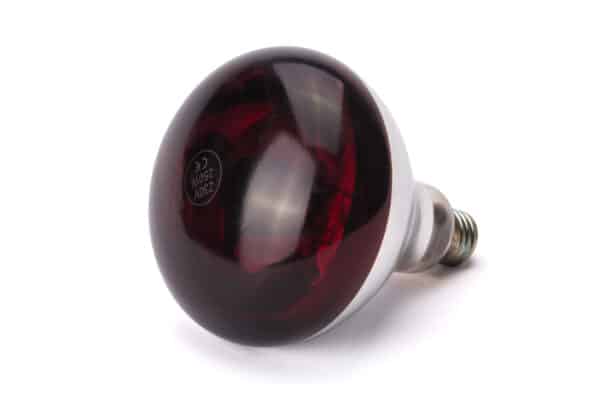 E27 Infrarot Glühbirne Wärmelampe Rotlicht Infrared 250W Rot NEU