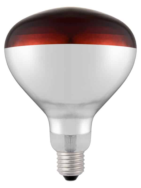 E27 Infrarot Glühbirne Wärmelampe Rotlicht Infrared 250W Rot NEU – Bild 2