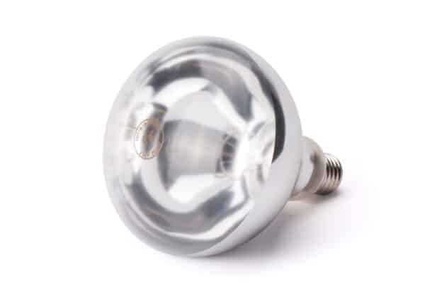 E27 Infrarot Wärmelampe Glühbirne weisslicht Infrared 250 W Weiss NEU