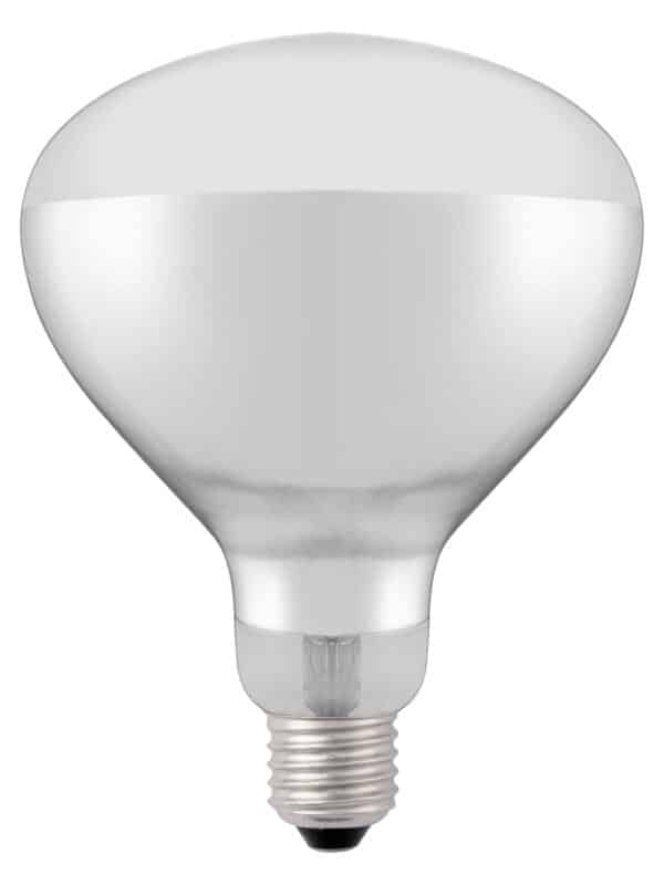 E27 Infrarot Wärmelampe Glühbirne weisslicht Infrared 250 W Weiss NEU – Bild 3